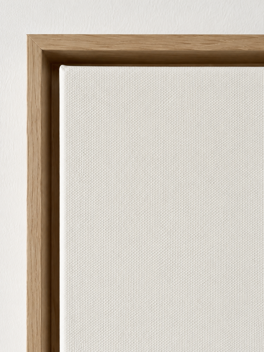 NOMA 001 — Architectural Contrast Composition